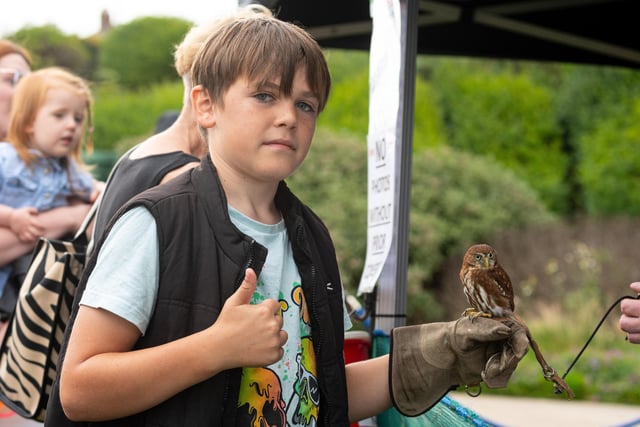 Tristan Jones with an East Brazilian pygmy owl at the Fylde Coast Food and Drink Festival at the Marine Hall in Fleetwood. Photo: Kelvin Lister-Stuttard