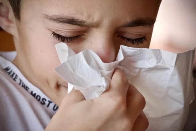 The pollen count will be high this Jubilee weekend in Blackpool