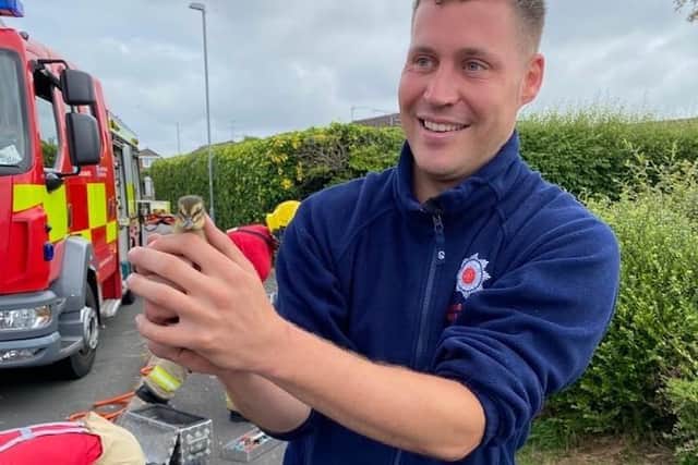Firefighter Thomas Worrall with the rescued duckling