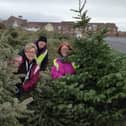 Trinity Hospice corporarte fundrasider Janet Atkins, left, with volunteers Phil Sumner and Lisa Lancaster with collected Christmas trees last year.