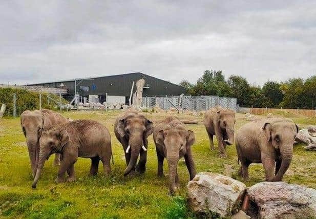 Blackpool Zoo has over 1,500 rare and exotic animals including seals, lions, giraffes, elephants and gorillas