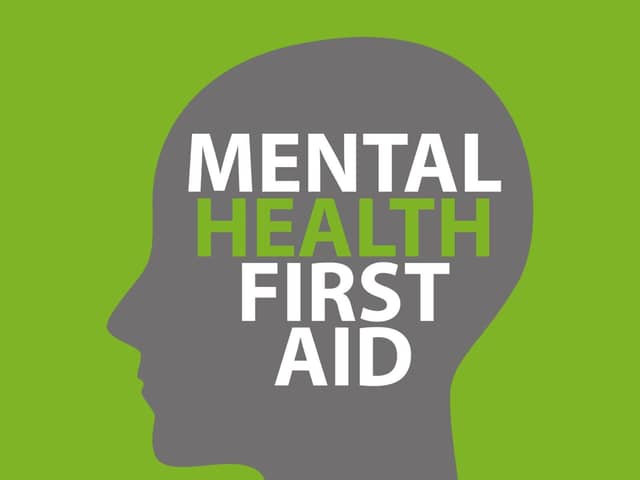 Mental health first aid. Photo:  Skills Training Group