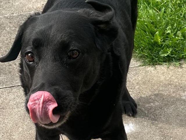 Meet Ben!