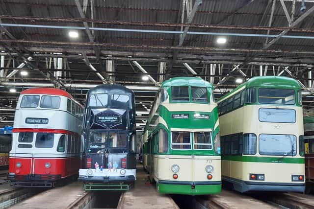 Trams on display at Tramtown