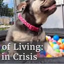 A new documentary about pets in the cost of living crisis airs on Shots TV, Freeview channel 236