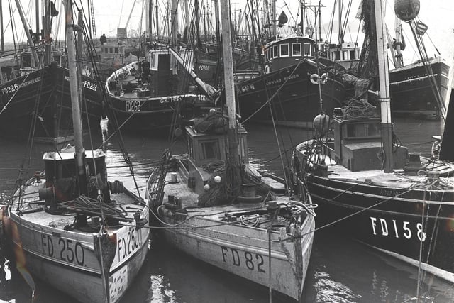 The fleet in port at the Jubilee Quay, Fleetwood, 1967