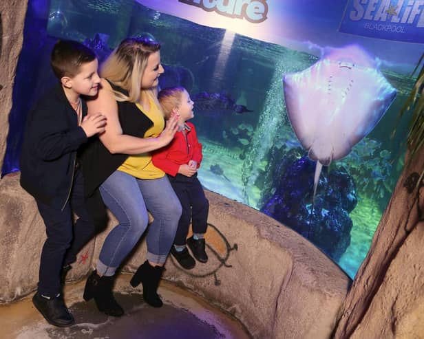 SEA LIFE Blackpool