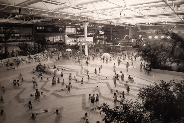 A packed Sandcastle in the late 80s. It has changed almost beyond recognition. The wave pool, two slides, terraces, palm trees and a constant temperature of 84 degrees was how it all started. Remember the exotic flamingos flying above?