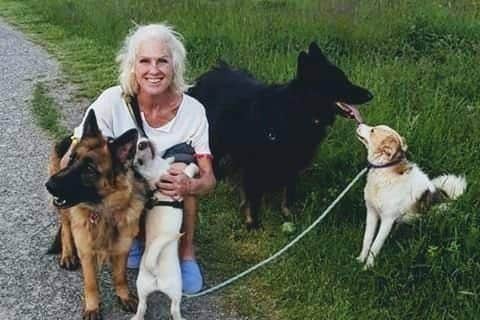 Aunty Dee's Dog Walking and Canine Care