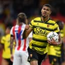 Ashley Fletcher (Photo by Justin Setterfield/Getty Images)