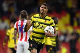 Ashley Fletcher (Photo by Justin Setterfield/Getty Images)
