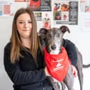Portia Keates with Blake at Stanley House Vets in Barnoldswick which has become a pet blood donor centre Photo Stanley House Vets
