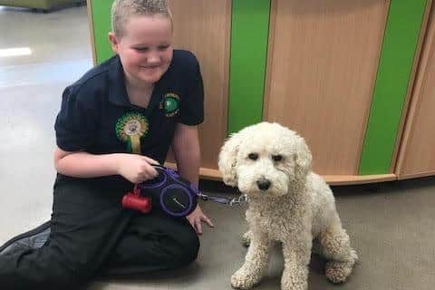 Michael Hemsley aged 9 with Daisy the therapy dog