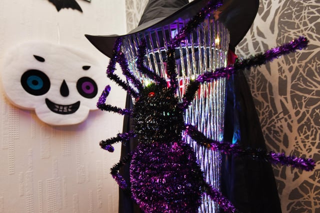An 'orrible arachnid on display in Bailey's horror house