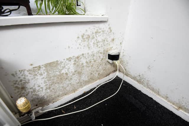 Ross Ward inside his damp flat which isn't being fixed
