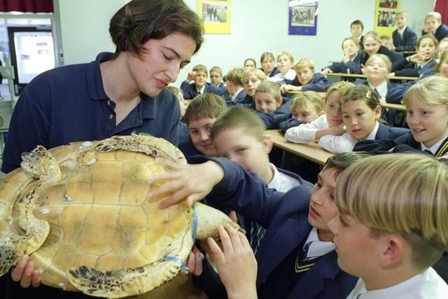 Nan Swannie shows a turtle to the Hodgson pupils in 1998