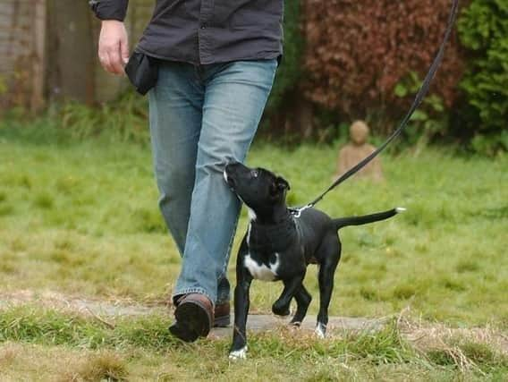 The number of fines for dog fouling in Wyre has risen