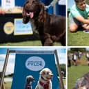 A selection of some fab pics from the Fairhaven Dog Festival.
