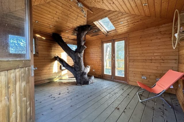 And the most amazing feature of all...who wouldn't want a wooden tree house?