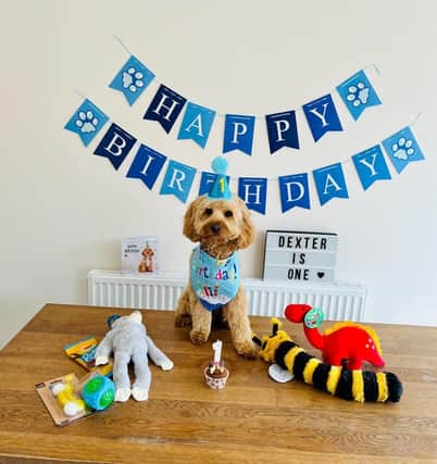 Nikita Rose Hall sent in this picture of Dexter who has just celebrated his 1st birthday in style!