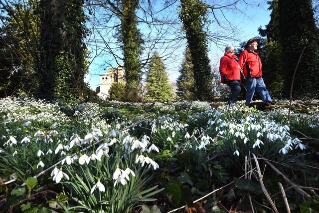 June and David Harrison from Greatham enjoy the early spring sunshine and snowdrops.