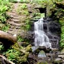 Fairy Glen was named as the top thing to do in Appley Bridge and scored 4.5 out of 5 from 230 reviews.