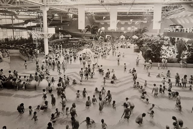 A packed Sandcastle in the late 80s. It has changed almost beyond recognition. The wave pool, two slides, terraces, palm trees and a constant temperature of 84 degrees was how it all started. Remember the exotic flamingos flying above?