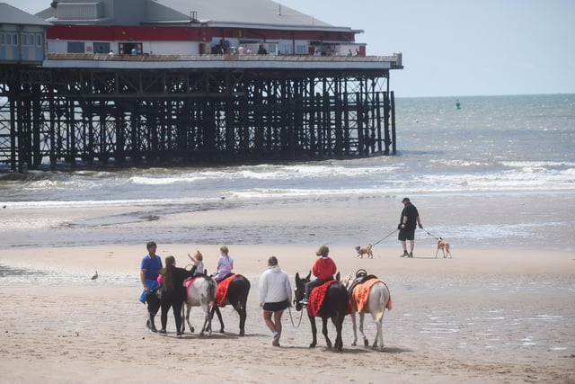 Visitors to Blackpool beach going for a donkey ride on the sand, as dogs in the distance cool down in the sea.