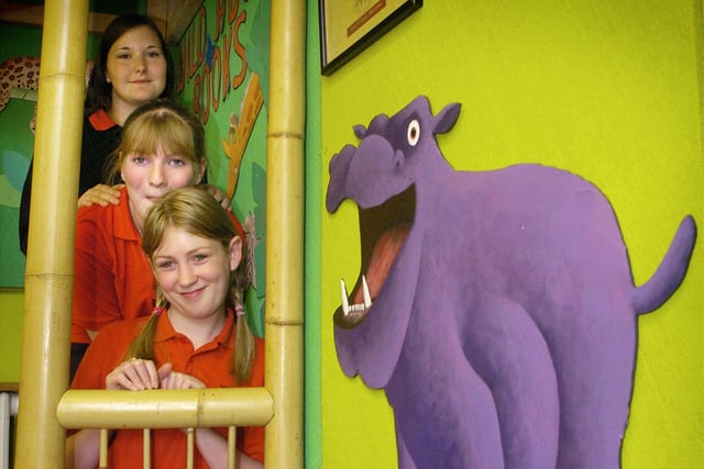 Pupils at Millfield High School designed and built animal figures for the children's corner at Thornton Library.
Pictured are Carlie Beardsall, Jenna Edwards and Amy Taylor in 2004