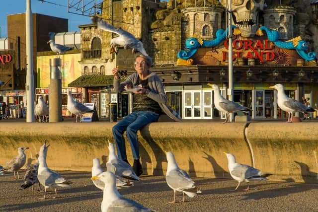 A woman holding a chip out for a seagull that is swooping near her (Credit: LBphotography/ SWNS)