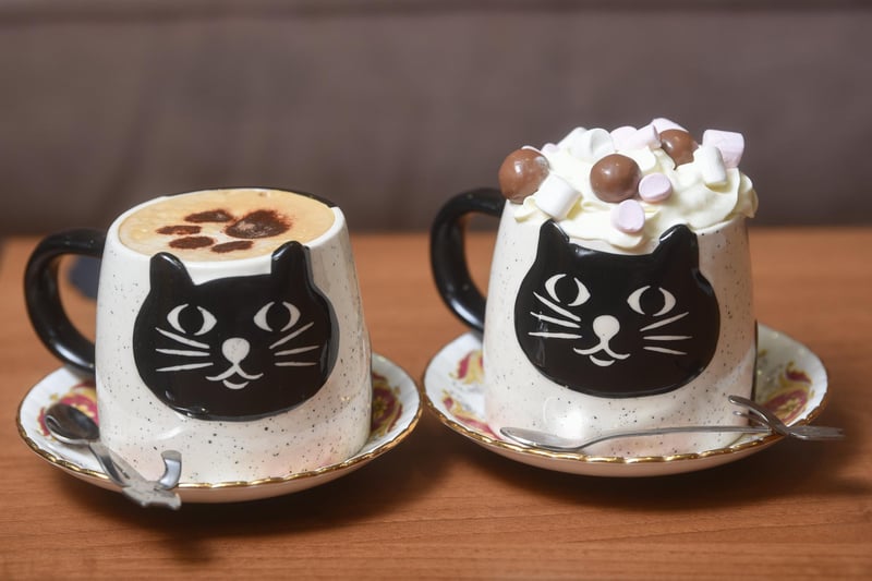 Cafe Meow currently offers drinks, cakes and pastries but it's looking into the possibility of expanding its menu in the future