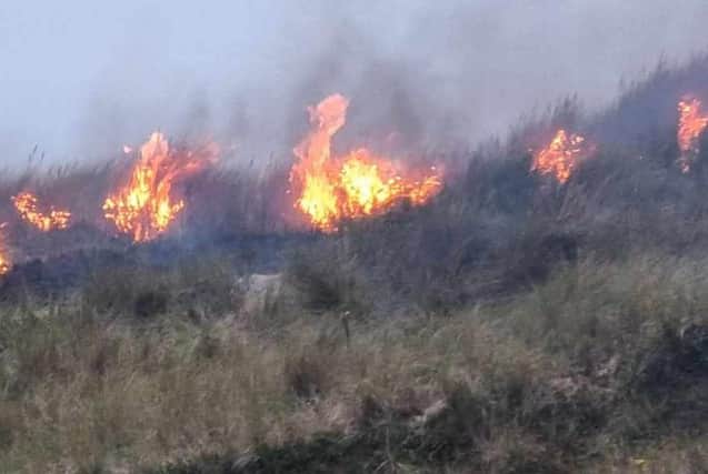 The alarm was raised by a member of the public who spotted two fires on the dunes opposite the former Pontins site, off Clifton Drive North, at around 7am on Wednesday, August 23. (Picture by David Bailey)