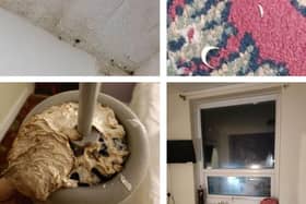 Andy Pugsley has shared photos from his stay at Blackpool Promenade Hotel, which shows a) mould on the ceiling b) toenail cuttings on the floor c) a toilet brush left in the room and d) the window in his suite that he says had no curtain or blinds.