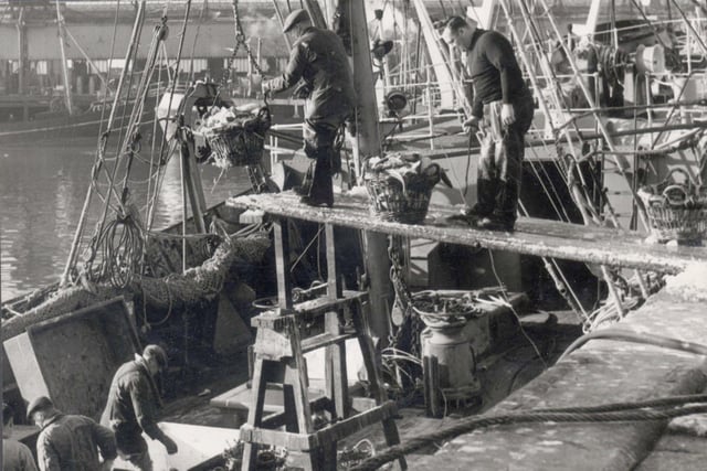 Fleetwood Docks - unloading fish in March 1962