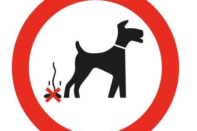 Dog owners face fines or prizes as crackdown launched on dirty Blackpool streets