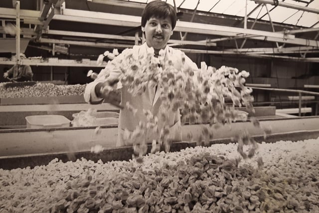 Stanley Kitt takes a look at the sweets ready for packing at Daintee Confectionary in June 1980