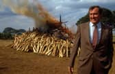 Richard Leakey was hailed as 'the saviour of the elephants' for his work tacking poaching gangs and the criminals behind them.