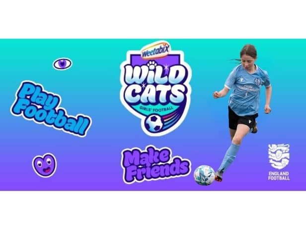 FREE wildcats Sessions