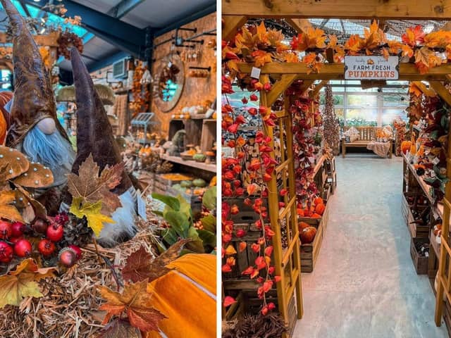 Autumn style. Credit: Oliver Hallam