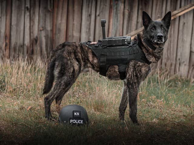 Retired police dog Zeus