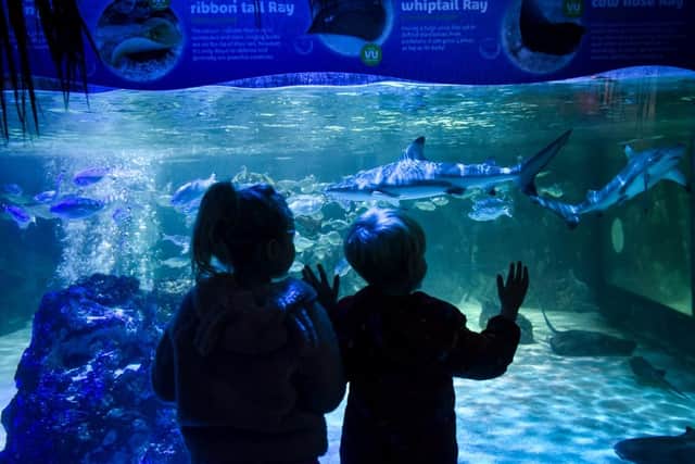 Blackpool Sea Life centre.