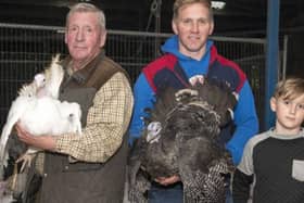 Hall Farm, Salwick, Preston, Lancashire, PR4 0YJ. Tel 01772 684666. Traditional Bronzed & White Farm Fresh Fylde Turkeys