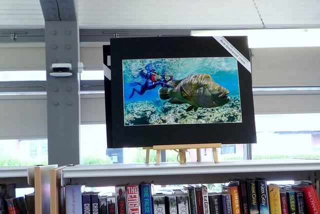 Nicky Greenwood photographs on display in Cleveleys Library