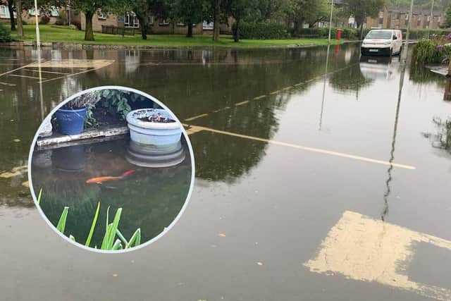 Floods on Lawsons Road in Thornton. inset: Koi and goldfish swim around the garden after a pond overflowed.