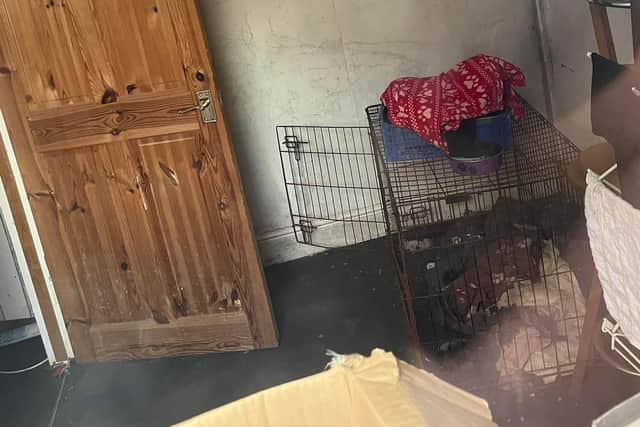 An empty cage was found on the property
