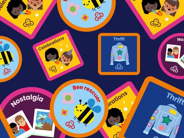 Designs of the new bee rescuer, celebrations, thrift, and nostalgia badges