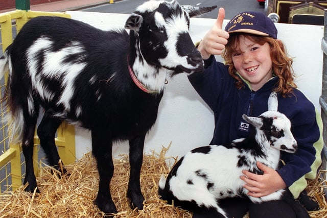 Eight-year-old Polly Ashworth with two friendly goats on the Farmer Parr's Animal World float during Fleetwood Carnival
