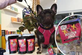 A new pet brand is being dubbed the 'Ann Summers for dogs'. Bisto the Frenchie poses with some of the 'naughty' treats.