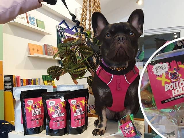 A new pet brand is being dubbed the 'Ann Summers for dogs'. Bisto the Frenchie poses with some of the 'naughty' treats.