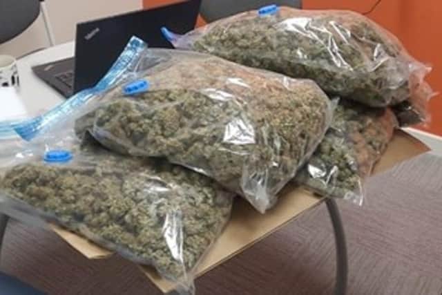 A large quantity of harvested cannabis bush was found during a search of the Mini Cooper (Credit: Lancashire Police)